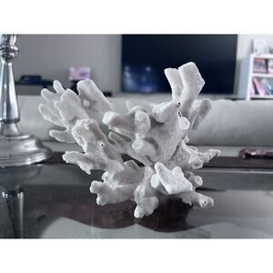 Vintage Genuine White Natural "Cauliflower Coral" Ocean Specimen 6x5 inches